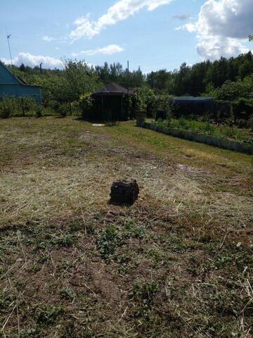 СНТ Любожиха спуск к Любожихе, Пущино фото СНТ Любожиха спуск к Любожихе, Пущино фото