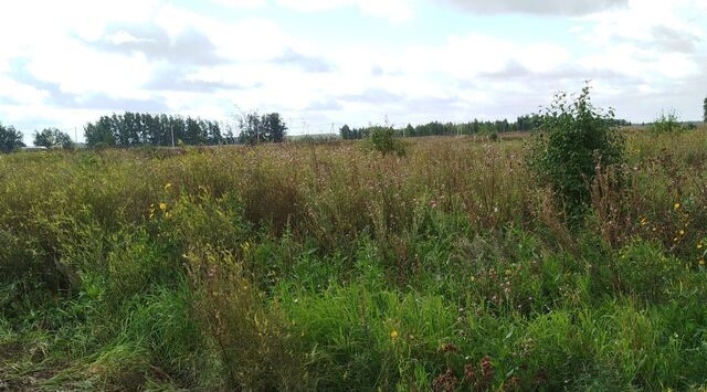 земля с Ребровка Магистральное с/пос фото земля с Ребровка Магистральное с/пос фото