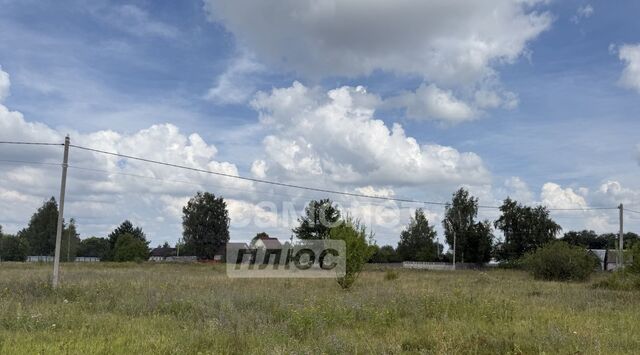 земля с Абрютино Екимовское с/пос фото земля с Абрютино Екимовское с/пос фото