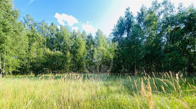 земля п Варские Варсковское с/пос, Князской Починок кп фото земля п Варские Варсковское с/пос, Князской Починок кп фото