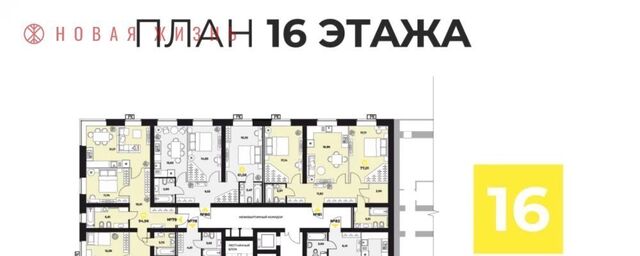 Российская дом 6 фото Российская дом 6 фото