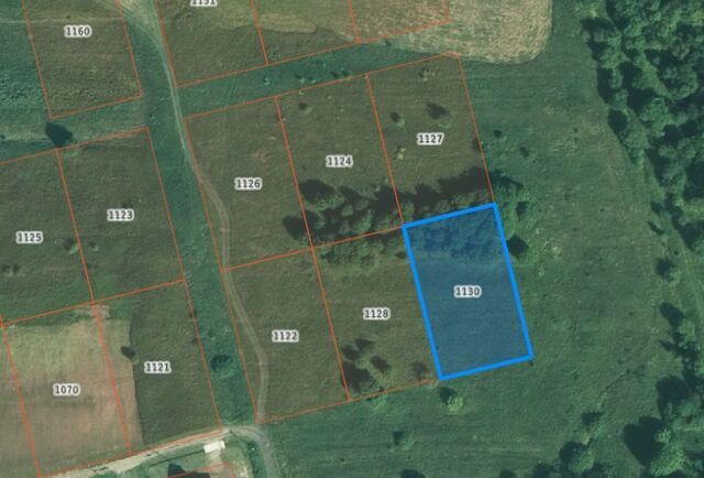офис ул Школьная городское поселение Кириллов фото