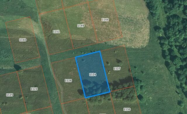 офис ул Школьная городское поселение Кириллов фото