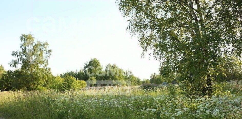 земля р-н Вологодский д Филютино фото 3