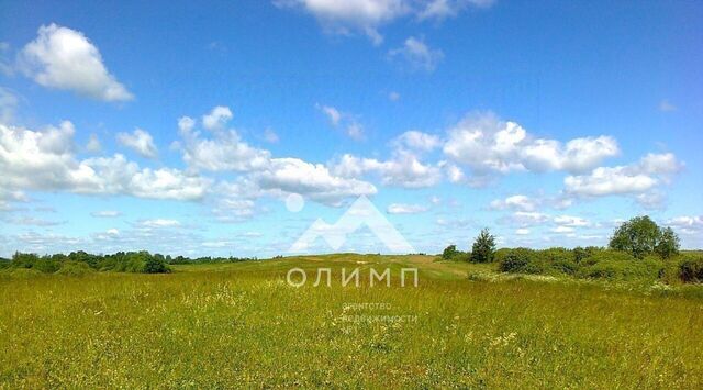 земля д Кукманино фото земля д Кукманино фото