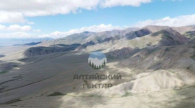 р-н Кош-Агачский с Теленгит-Сортогой фото