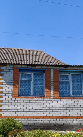 дом с Лопушь ул Набережная 46 Выгоничское городское поселение фото