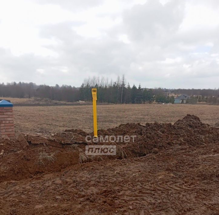земля р-н Вологодский д. Борисово Борисовский сельсовет фото 2