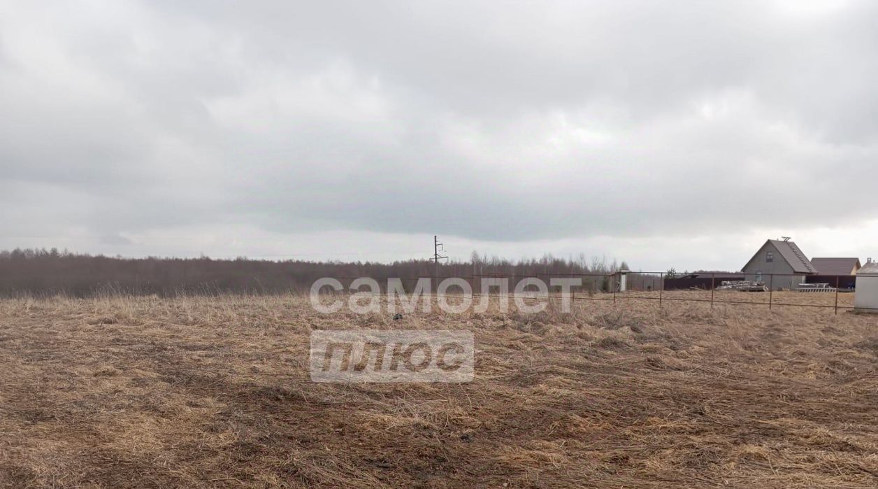 земля р-н Вологодский д. Борисово Борисовский сельсовет фото 3