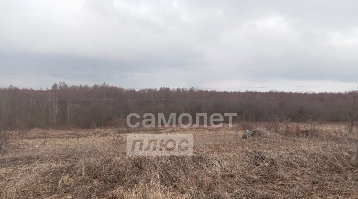 земля р-н Вологодский д. Борисово Борисовский сельсовет фото 4