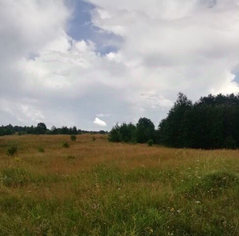 Пожеревицкая волость фото