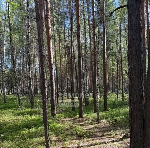 земля д Оськино ул Майская фото земля д Оськино ул Майская фото