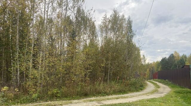 снт Лесное озеро Невьянский муниципальный округ фото снт Лесное озеро Невьянский муниципальный округ фото
