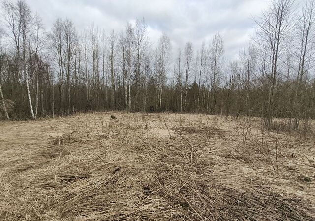 снт Радужное Вологжанка, 276, Вологда фото снт Радужное Вологжанка, 276, Вологда фото