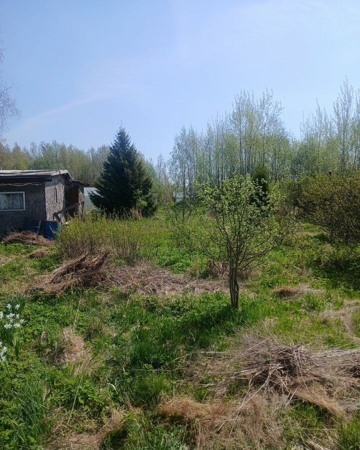 земля р-н Вологодский снт Радужное Шограш, 9-я ул, Вологда фото 7