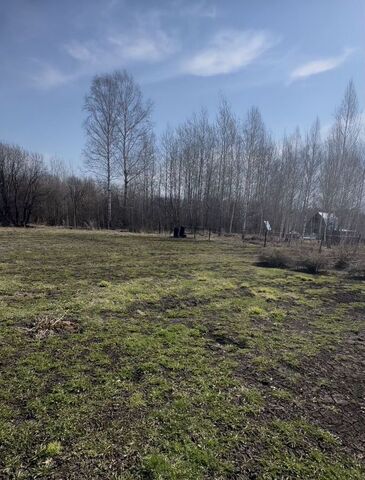 рп Мошково некоммерческое садоводческое товарищество Дружба-1, 225/226 фото рп Мошково некоммерческое садоводческое товарищество Дружба-1, 225/226 фото