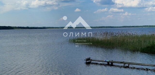д Гридинская 2 фото д Гридинская 2 фото