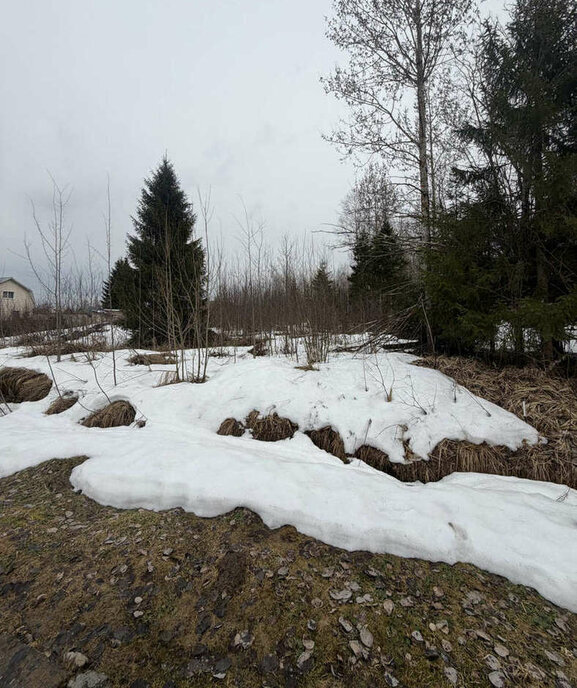 земля р-н Вологодский п Можайское фото 10