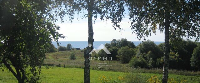 земля с Троицкое фото