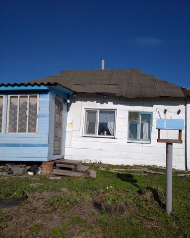 д Островно Дедовичи фото