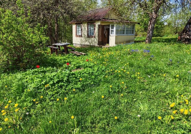 Лычёвская волость, Великие Луки фото Лычёвская волость, Великие Луки фото