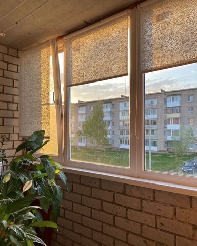 рп Шексна ул Молодежная 5 Шексна фото