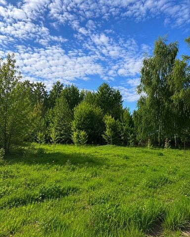 земля ул Заречная Добрунское сельское поселение, Добрунь фото