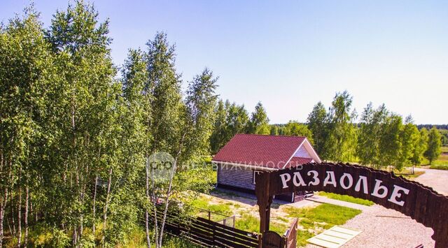 р-н Спасский д Агламазово ул Березовая Панинское с пос фото