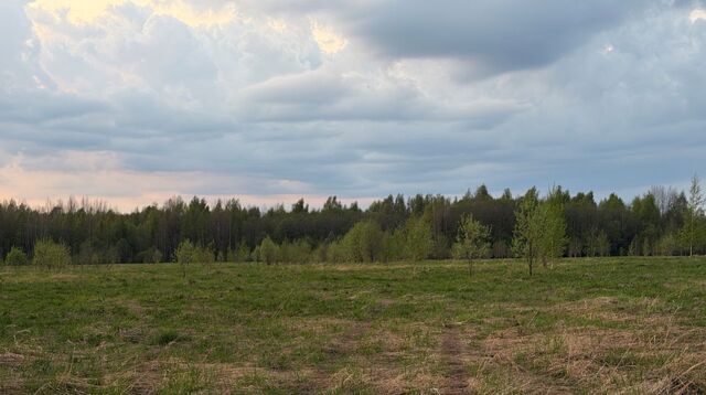 земля муниципальное образование фото