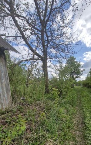 п Путевка снт Ветеран-2 пос, СДТ, Снежское с, с. Толмачево фото п Путевка снт Ветеран-2 пос, СДТ, Снежское с, с. Толмачево фото