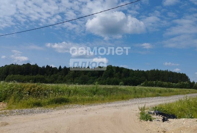 д Сестрилка фото д Сестрилка фото