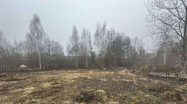земля д Рассвет садовое общество, Брянск фото земля д Рассвет садовое общество, Брянск фото