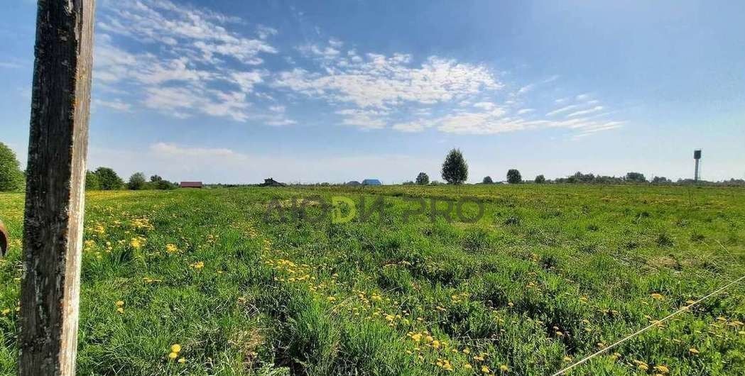 земля р-н Вологодский с Кубенское территориальное управление, Устье фото 3
