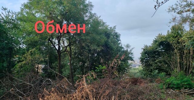 р-н Чегемский дп Труд Нальчик фото р-н Чегемский дп Труд Нальчик фото