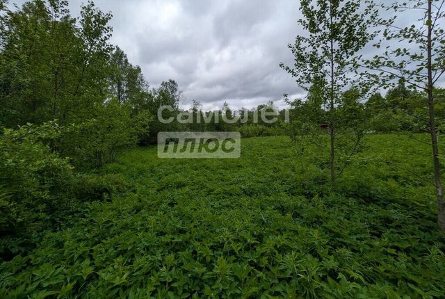 земля п Фанерный Завод фото земля п Фанерный Завод фото