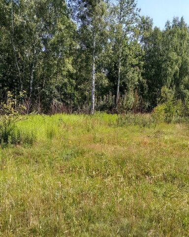 ул Молодежная 90 Ладушкинский г. о. фото ул Молодежная 90 Ладушкинский г. о. фото