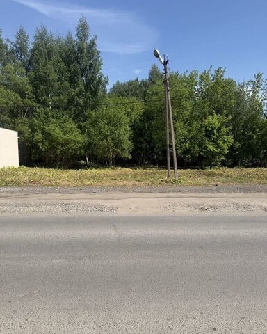 г Ржев тракт Торопецкий Ржевский муниципальный округ фото