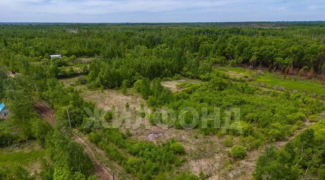 р-н Смидовичский снт Заозерное Приамурское городское поселение, ул. Садовая фото р-н Смидовичский снт Заозерное Приамурское городское поселение, ул. Садовая фото