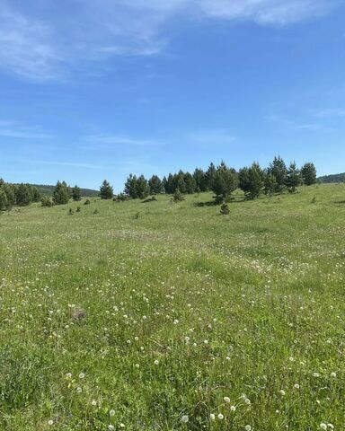 д Новоселка сельсовет, Караидель фото д Новоселка сельсовет, Караидель фото