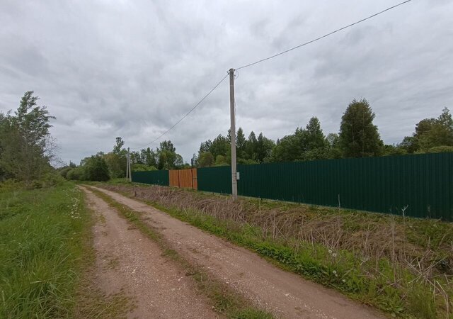 д Елманова-Горка Удомельский муниципальный округ фото