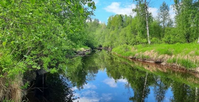 р-н Лахденпохский г Лахденпохья Мийнальское сельское поселение фото р-н Лахденпохский г Лахденпохья Мийнальское сельское поселение фото