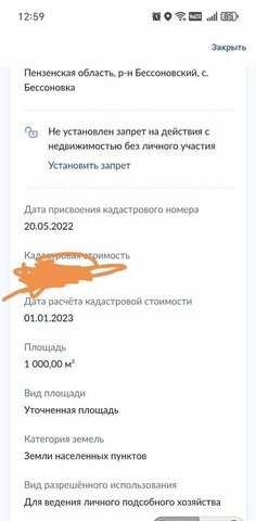 р-н Бессоновский с Бессоновка фото