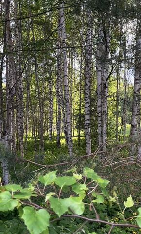 р-н Килемарский п Кундышский ул Дорожная Килемары фото р-н Килемарский п Кундышский ул Дорожная Килемары фото