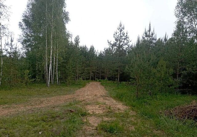 земля Коржовоголубовское сельское поселение, Клинцы фото земля Коржовоголубовское сельское поселение, Клинцы фото