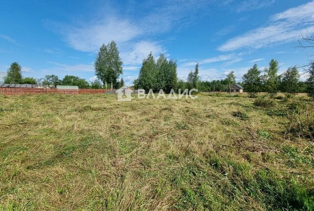 д Бакшейка фото д Бакшейка фото