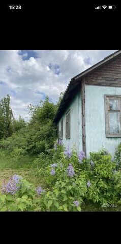 дом с Могилевцы ул Мира Сачковичское сельское поселение, Климово фото