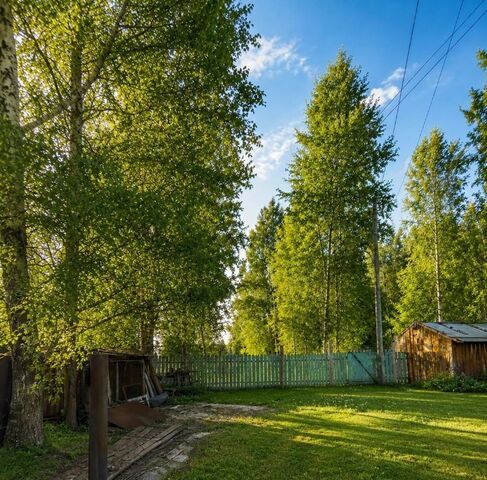д. Шиляково Суховерховский сельсовет, пер. Дальний фото д. Шиляково Суховерховский сельсовет, пер. Дальний фото