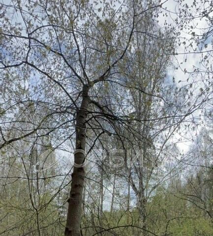 р-н Тюменский д Зубарева ул Центральная фото р-н Тюменский д Зубарева ул Центральная фото