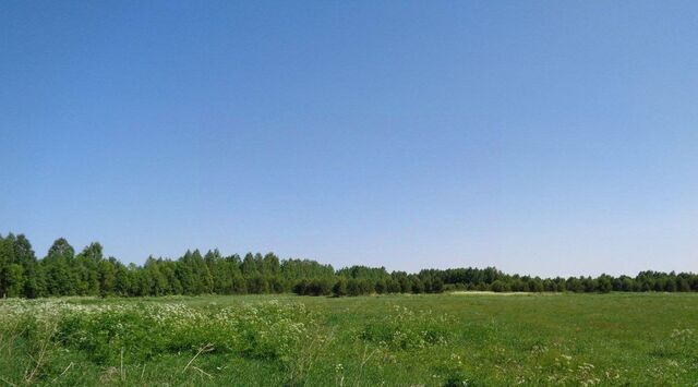 Городецкое с/пос фото Городецкое с/пос фото