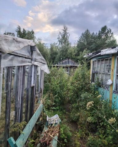 земля д Сигово СТ Берёзка, Пиндуши, Медвежьегорский муниципальный округ фото земля д Сигово СТ Берёзка, Пиндуши, Медвежьегорский муниципальный округ фото